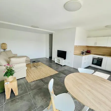 Apartment Large 1 Bedroom In Center With Terrace&parking-67b