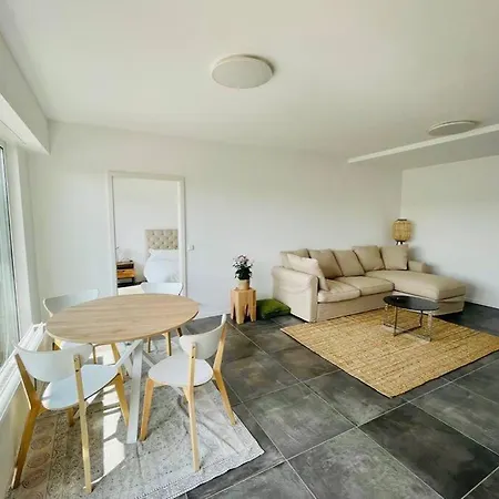 Large 1 Bedroom In Center With Terrace&parking-67b Appartement